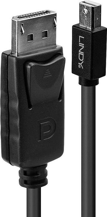 Image du produit Lindy Mini DisplayPort — DisplayPort (1 m, DisplayPort)
