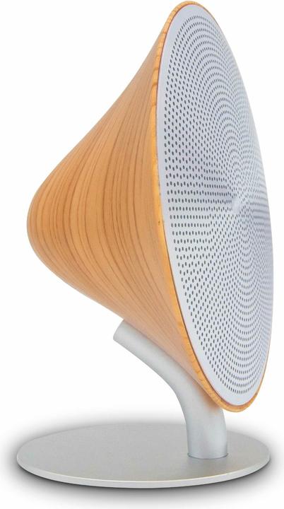 Altoparlante Bluetooth