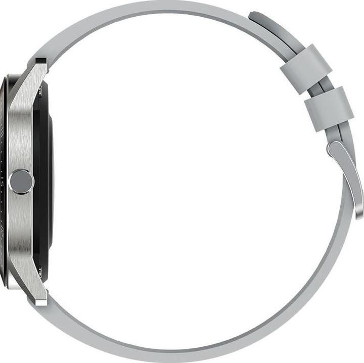 Actual product image Gino Rossi SW018-2, grey colour (45 mm)