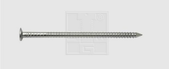 Actual product image SWG Lens head nails fluted 2.3 X 60 stainless steel A2 (1000 Piece, 60 mm)