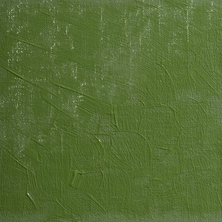 Image du produit BlockX - Vert lamoriniere (200 ml)