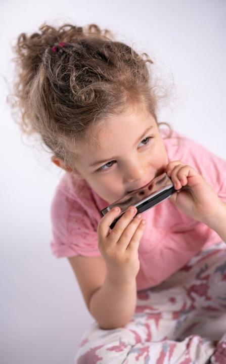Actual product image Boogie Bee Harmonica (German, French, Dutch, Italian)