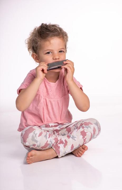 Actual product image Boogie Bee Harmonica (German, French, Dutch, Italian)