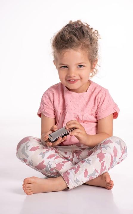 Actual product image Boogie Bee Harmonica (German, French, Dutch, Italian)