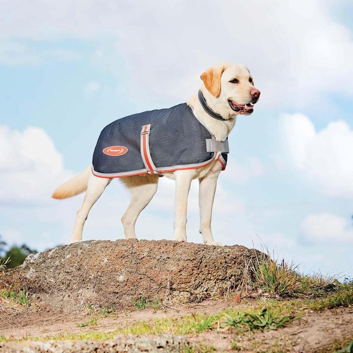 Actual product image Weatherbeeta Comfitec 1200D Therapy-Tec dog coat (45, Dog coat)