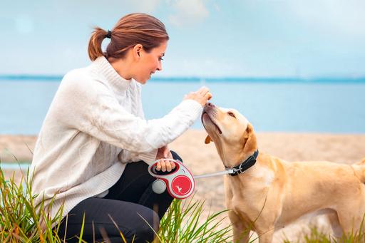 Produktbild Flexi New Comfort Gurt (S, Hund, Spazieren)