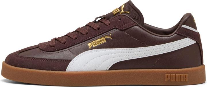 Brun chocolat, Marron, Puma Blanc