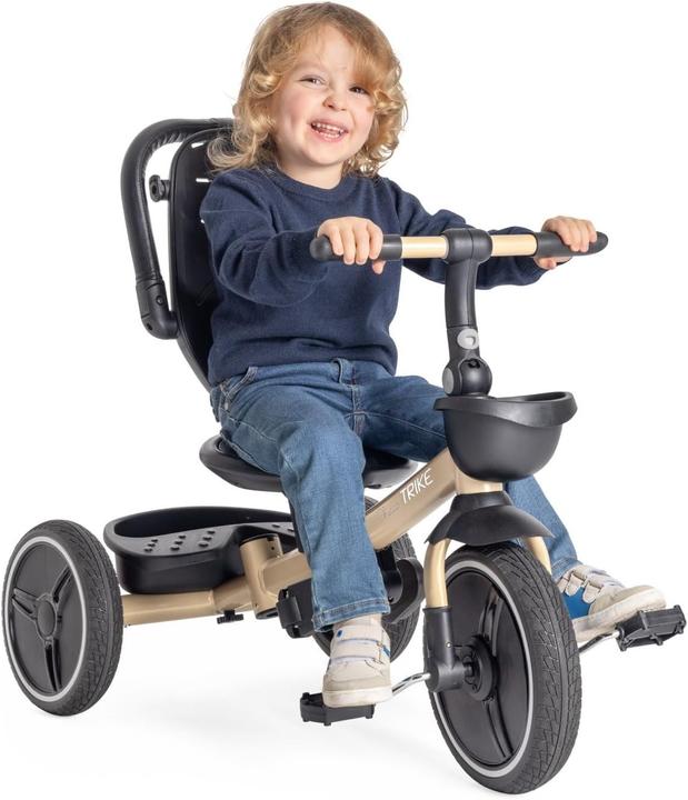 Actual product image Chicco 00012136100000