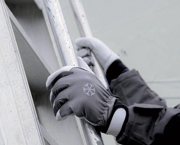 Actual product image Cofra Coldext (x12) (9)