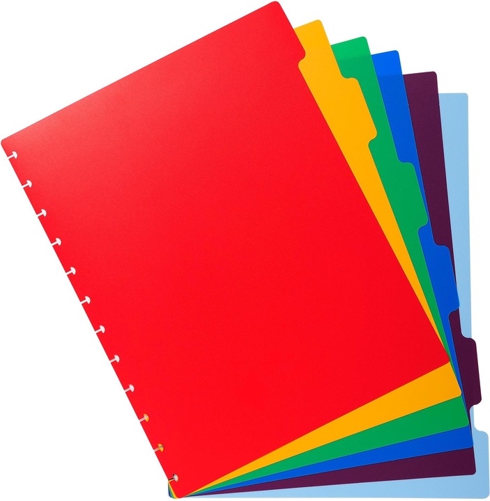 Actual product image Exacompta Register (A4, 1 x)