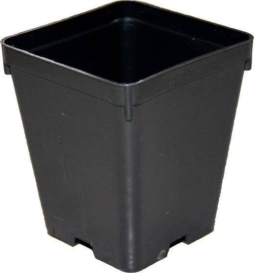 Pasquini & Bini Topf 1L 20Stk