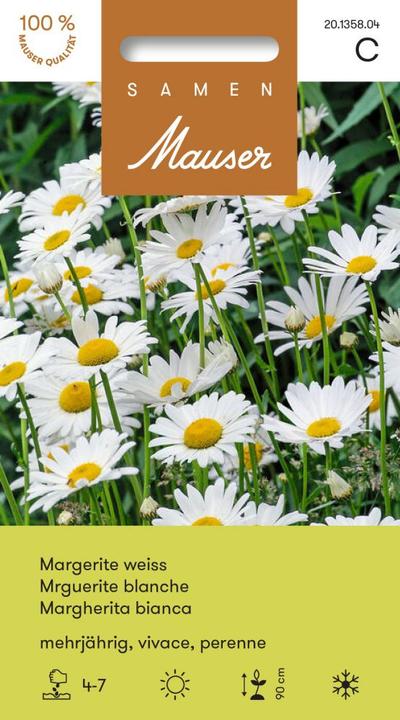 Samen Mauser Margerite weiss (Pflanzensamen)