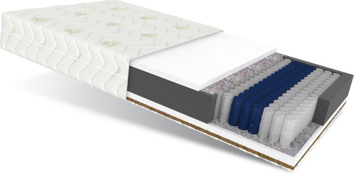 Avetoe Matratze 160x200 ERA - 7 Zonen - ALOE VERA - H2/H3 - 24cm (160 x 200 cm, Noyau de mousse)