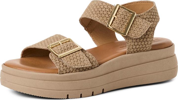 TAUPE STRUCT., taupe structure