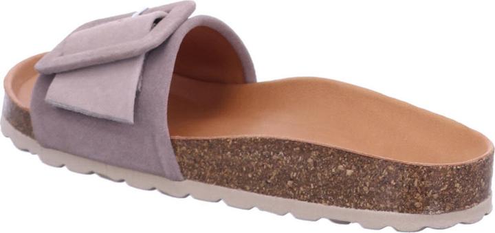 Immagine prodotto Verbenas Reiko (41)