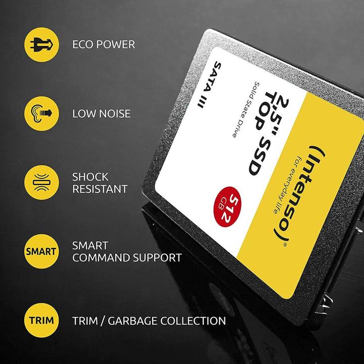 Image du produit Intenso Top Performance (256 Go, 2.5")