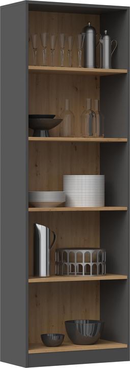 Image du produit Topeshop R60 Ant/Art (60 x 30 x 182 cm)