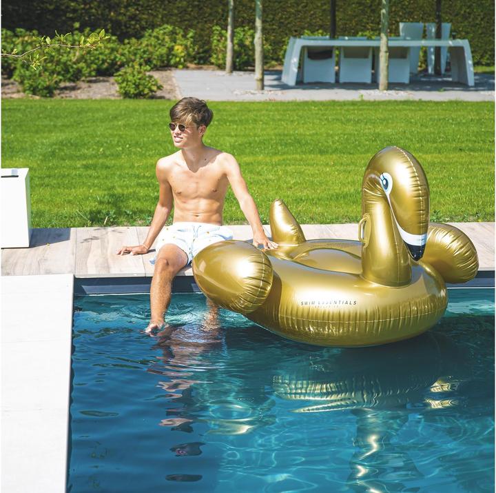 Actual product image TOP Swan