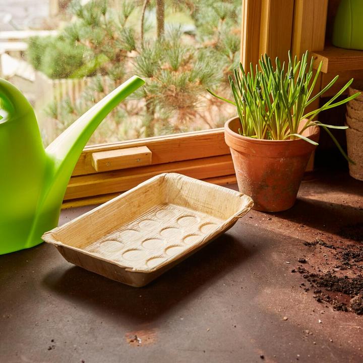 Produktbild Siena Garden Giesskanne (1.50 l)