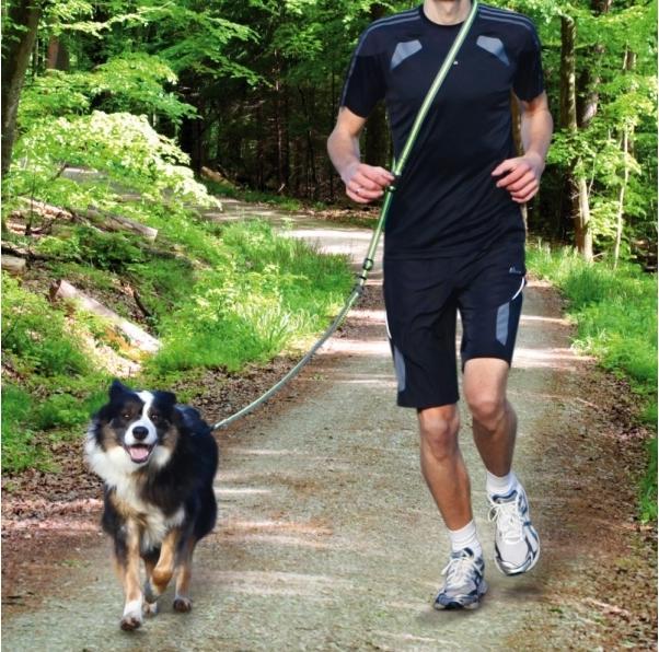 Actual product image Trixie Jogging leash (Dog, Jogging)