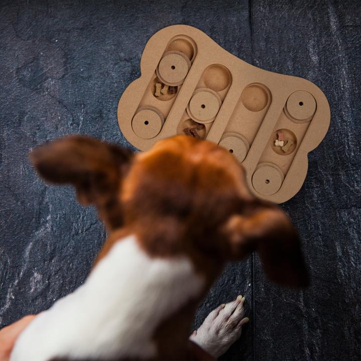Image du produit Relaxdays Jouets intelligents pour chiens (Jouet intelligent chien)