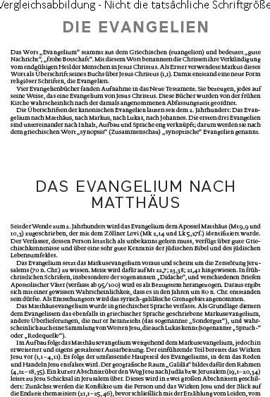Produktbild Die Bibel (Deutsch, 2016)