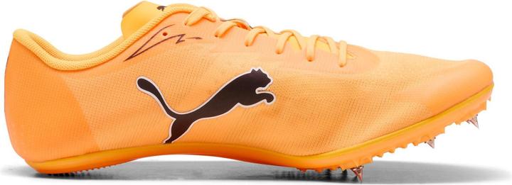 Image du produit Puma evoSPEED Brush 7 (38)