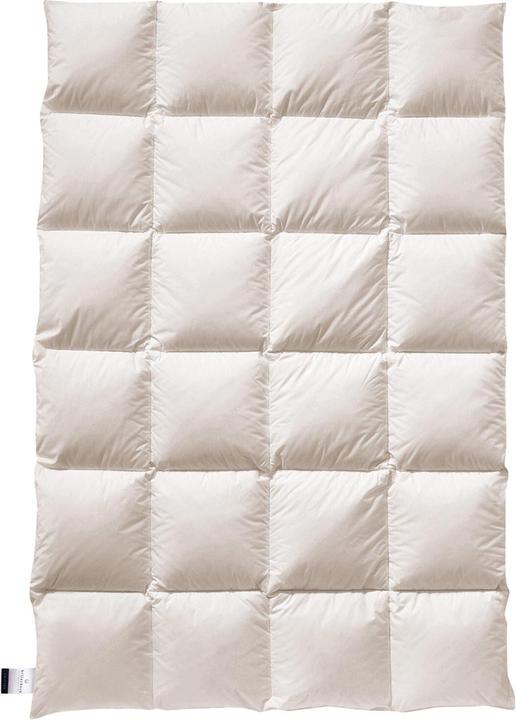 Actual product image Billerbeck Daunendecke E23 Inga Kassette II warm, Füllung: 90% Daunen, 10% Federn (900 g, 155 x 220 cm)