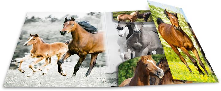 Produktbild HERMA Sammelmappe A4 Motiv (A4, 1x)