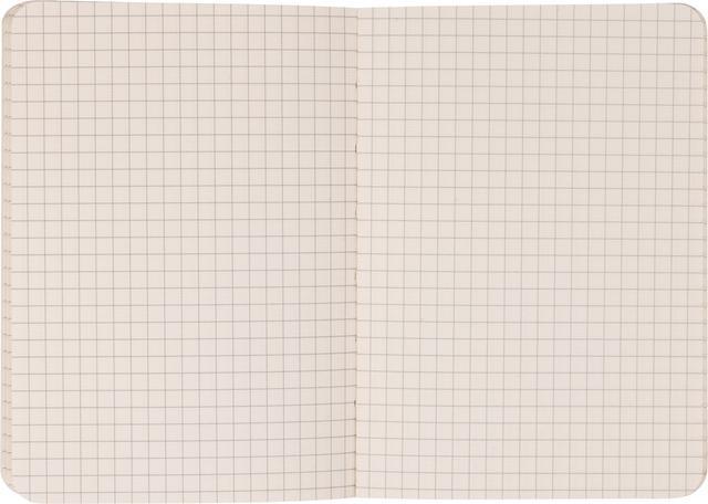 Actual product image Designworks Standard Issue Pocket Journal - Rosewood | Blush (10 x 15 cm, Checked, Hardcover)