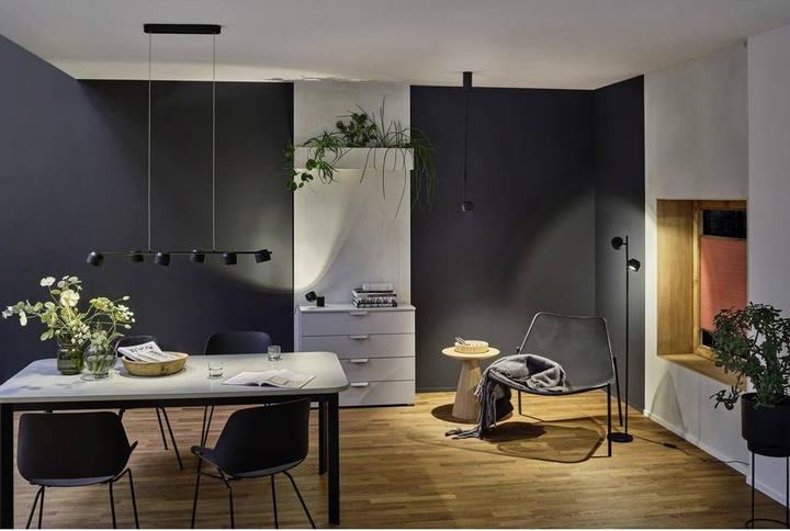 Productafbeelding Paulmann Puric Pane (300 lm)