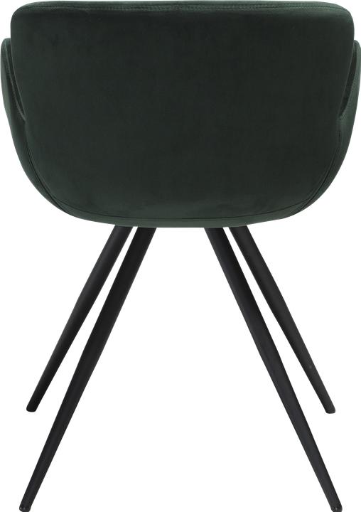 Actual product image Dan Form Gaia