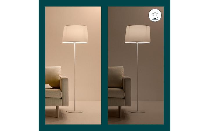 Image du produit WiZ Blanc modulable (E27, 8 W, 806 lm, 1 x, F)