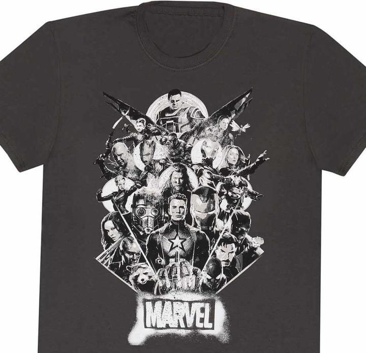 Produktbild Full Team TShirt (XXL)