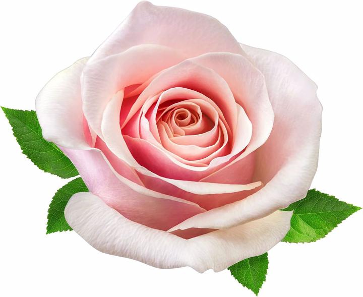 Immagine prodotto Valmont Balletto in fiore (Eau de parfum, 100 ml)