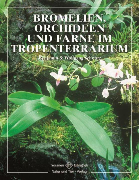 Produktbild Bromelien, Orchideen und Farne im Tropenterrarium (Deutsch, Wolfgang Schwarz)