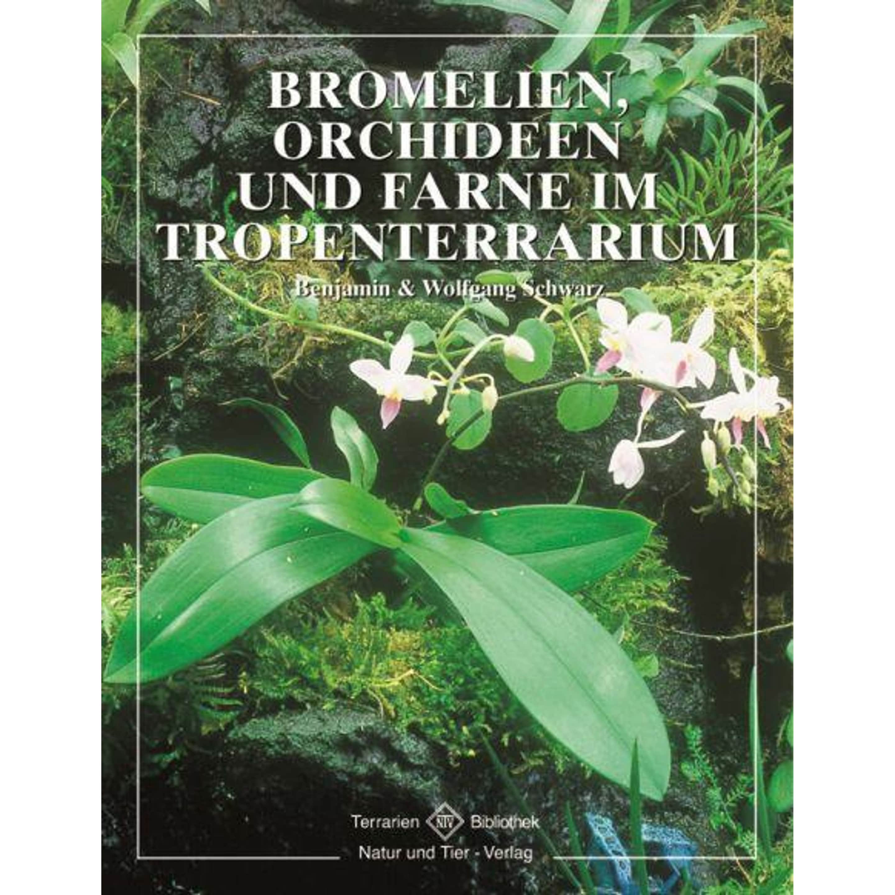 Bromelien, Orchideen und Farne im Tropenterrarium, Ratgeber von Wolfgang Schwarz