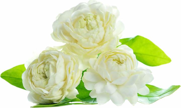 Image du produit Valmont Lady Code (Eau de parfum, 100 ml)