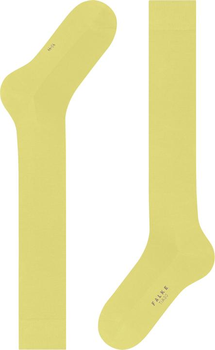 Actual product image Falke Tiago Herren (41 - 42)