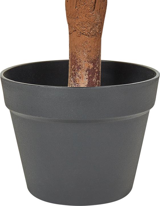 Immagine prodotto Beliani Buxus Ball Tree (92 cm)