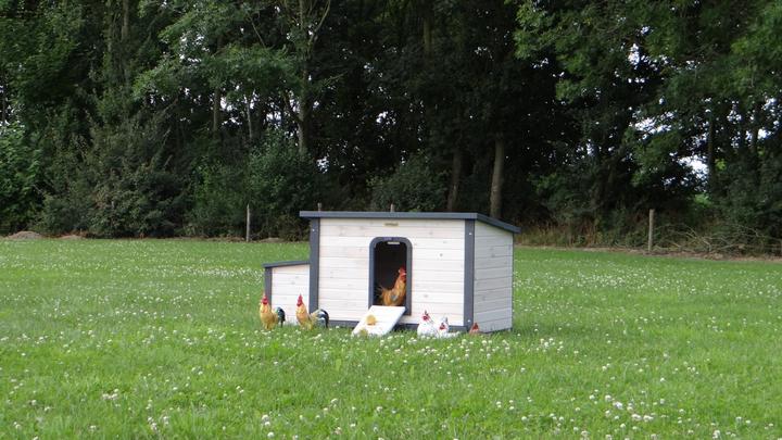 Produktbild Jamb Eva