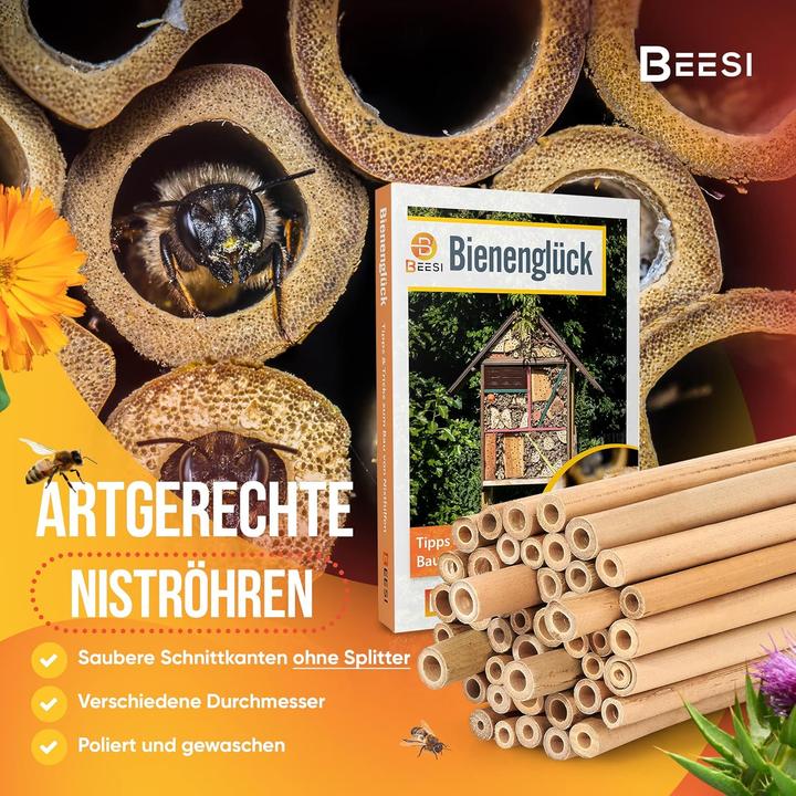 Image du produit Beesi Bambusröhrchen für Insektenhotel (Abeille, Abeilles sauvages)