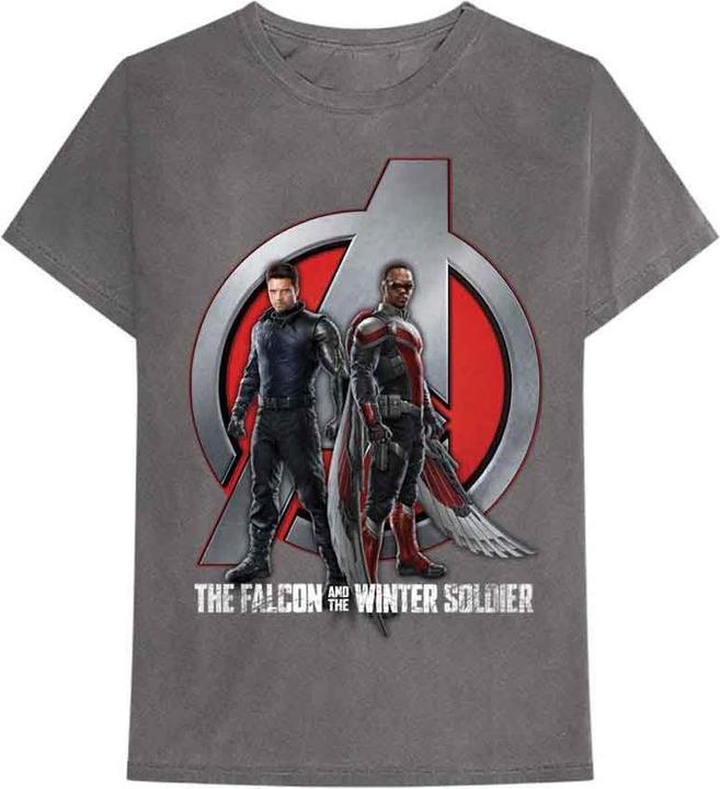 Marvel Falcon & Winter Soldier A Logo