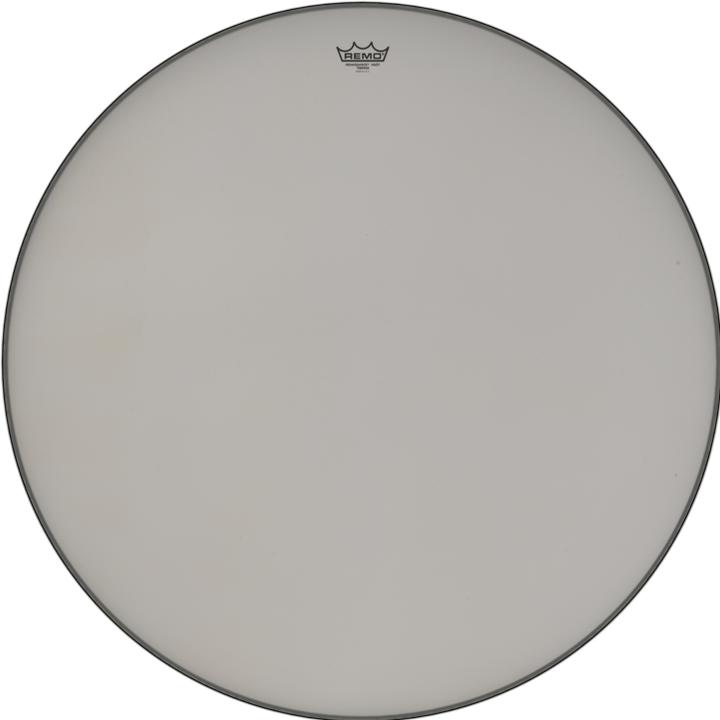 Remo Timpani 25 8/16" Rinascimentale. (Timpani)