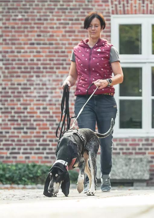 Immagine prodotto Go. Find. Folge der Freude (Tedesco, Christina Blessmann, Susanna Simon, 2022)