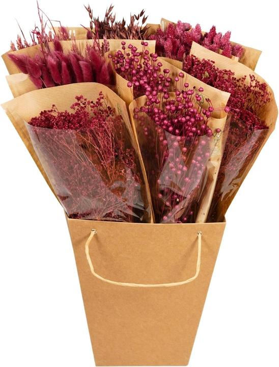 Fresca-Plant Trockenblumenstrauss Mono Mix -Burgundy 12stk in Box (Fiori secchi)