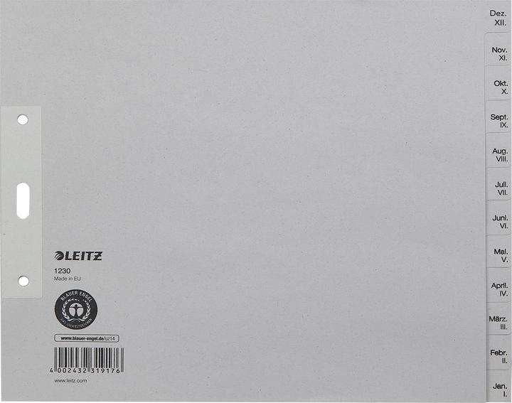 Actual product image Leitz Register paper