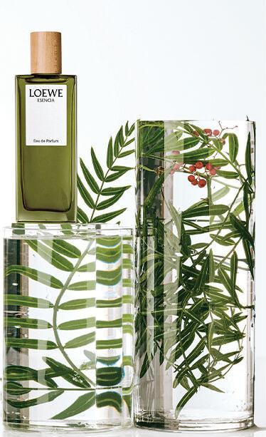 Produktbild Esencia pour Homme (Eau de Parfum, 100 ml)