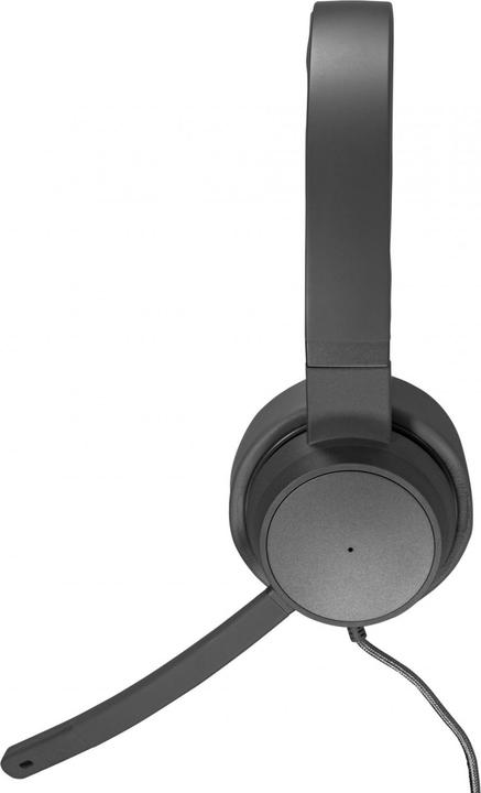 Actual product image Lenovo GXD1C99243 headphones/headset Wired Head-band Calls/Music USB Type-C Grey (ANC, Cable)