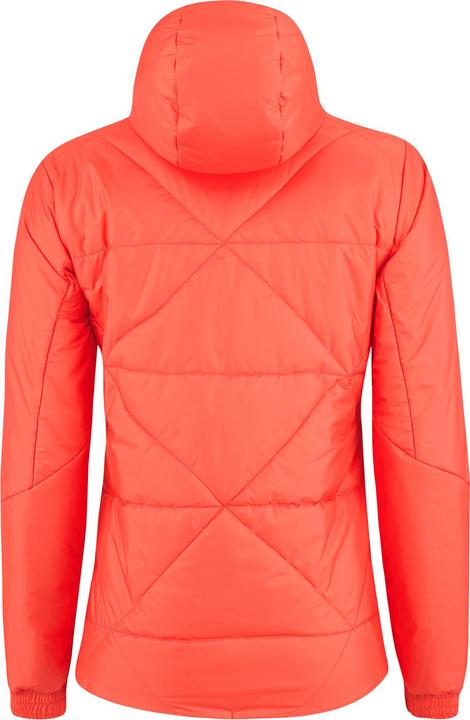 Immagine prodotto Löffler Explora PL60 (XL)